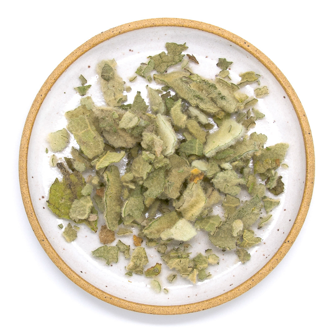 Mullein Leaf